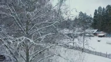 Ormandaki bir Rus köyünün kış manzarası. en üstteki görünüm