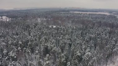 Ormandaki bir Rus köyünün kış manzarası. en üstteki görünüm