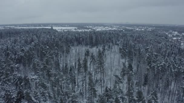 Téli táj egy orosz falu az erdőben. felülnézet — Stock videók