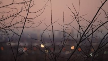 Moskova 'nın akşam şehri Panorama' sı. Kırmızı köprüye bakan gece manzarası. genel biçim