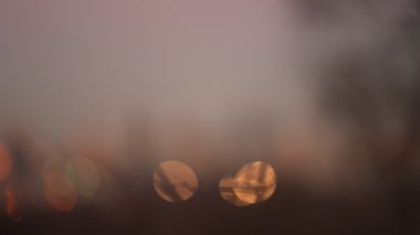 Sonbaharın sonlarında Moskova 'nın akşam şehri manzarası. Gece Şehri. Odaklanma değişikliği.