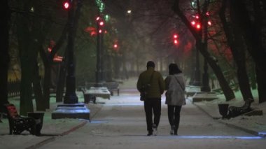 Bir çift, bir adam ve bir kadın kışın gece parkında yalnız yürürler. Gece Kış Parkı