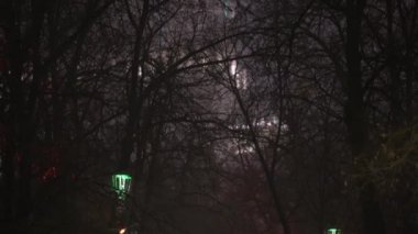 Bir çift, bir adam ve bir kadın kışın gece parkında yalnız yürürler. Gece Kış Parkı