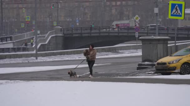Moscú, Rusia - Diciembre 2021: Una mujer glamorosa con un bulldog francés pasea por las calles de la ciudad durante una nevada. Movimiento lento — Vídeo de stock