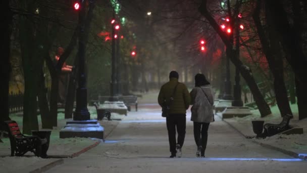 Una pareja, un hombre y una mujer caminan solos por el parque nocturno en invierno. Parque de invierno por la noche — Vídeo de stock