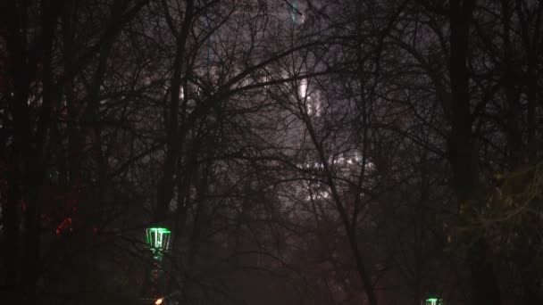 Ein Paar, ein Mann und eine Frau spazieren im Winter allein durch den Nachtpark. Winterpark bei Nacht — Stockvideo