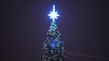 Sokak süslenmiş Noel ağacı, yüksek katlı bir binanın arka planına karşı..