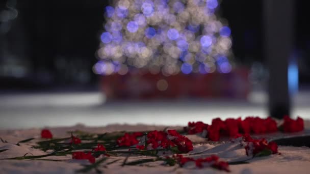 Flores junto a la llama eterna en invierno sobre el fondo del árbol de Navidad por la noche — Vídeo de stock