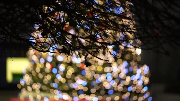 Kerstboom in focus tegen de achtergrond van het stadsleven in de winter 's nachts — Stockvideo