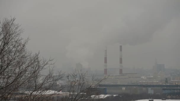 Vedere a peisajului de iarnă al orașului Moscova de pe puntea de observație. Un oraș de iarnă activ în ceață — Videoclip de stoc