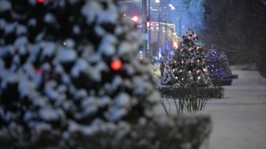 Noel ağaçları geceleri yol boyunca oyuncaklarla süslenir.