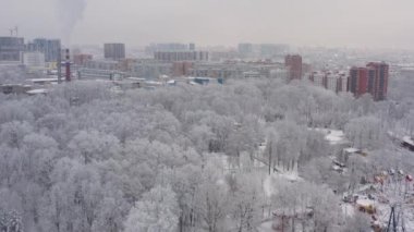 Kar yağışı sonrası kış şehri. Kar yağışı sonrası. Park ve şehir karla kaplı.