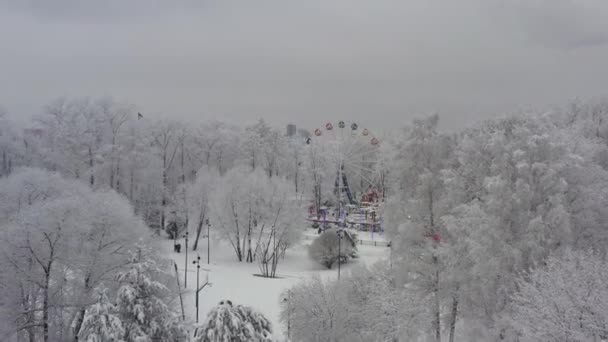 Зимний городской пейзаж после снегопада. Последствия снегопада. Парк и город покрыты снегом — стоковое видео
