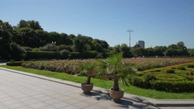 Yazın Coronavirus tecridi sırasında Gorky Park 'ın ıssız sokakları. Doli kamera görüntüsü