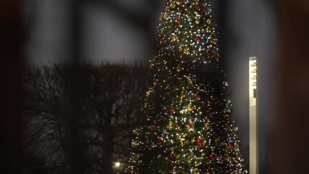 Kerstboom in focus tegen de achtergrond van het stadsleven in de winter 's nachts — Stockvideo