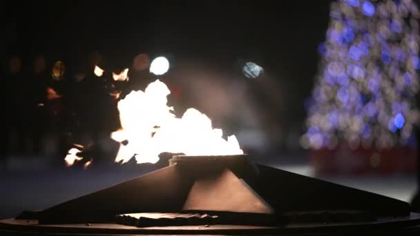Věčný plamen v noci na pozadí vánočního stromku. Rozepnout — Stock video