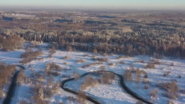 Ogromne obszary pokrytego śniegiem lasu sosnowego po opadach śniegu w słoneczny dzień. Widok z lotu ptaka — Wideo stockowe