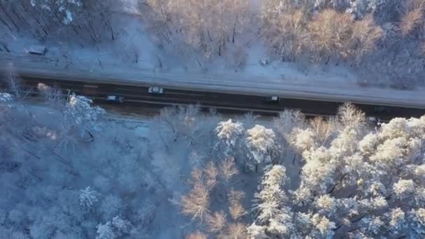 Varios coches conducen por la carretera en medio de un bosque de pinos cubierto de nieve en un brillante día de invierno soleado. Vista aérea — Vídeos de Stock