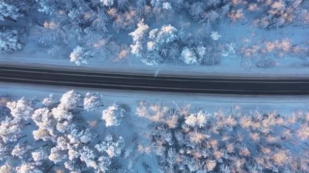 Kilka samochodów jedzie autostradą w środku pokrytego śniegiem lasu sosnowego w słoneczny zimowy dzień. Widok z lotu ptaka — Wideo stockowe