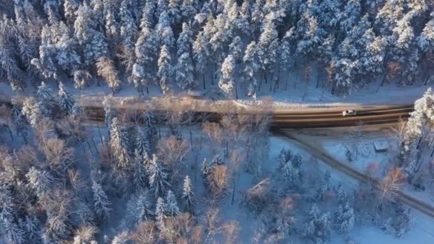 Several cars drive down the highway in the middle of a snow-covered pine forest on a bright sunny winter day. Aerial view — Vídeo de Stock