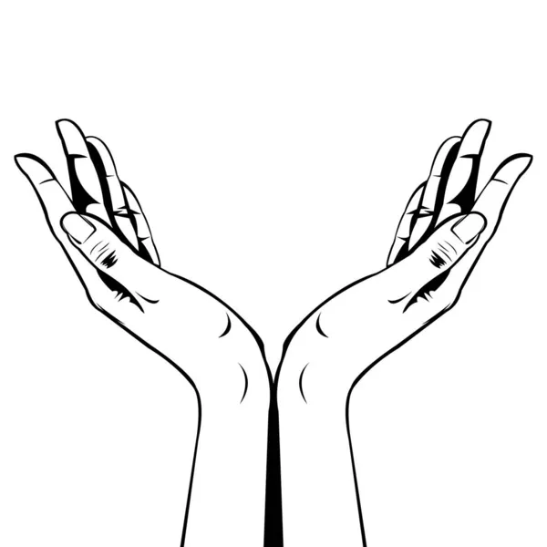 Mani Femminili Mano Aperta Illustrazione Bianco Nero Clip Art Parte — Vettoriale Stock