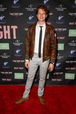 Petrie Willink, 16 Kasım 2021 'de Los Angeles' taki Laemmle Royal Theater 'da Rose Dove Entertainment 