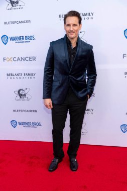 Peter Facinelli attends The Barbara Berlanti 
