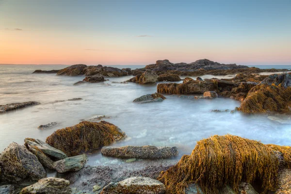 Rocky Seascape Sachuest Refugio de Vida Silvestre —  Fotos de Stock