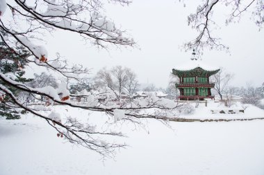 Kışın Gyeongbokgung Sarayı