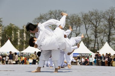 Güney Kore, taekkyeon geleneksel savaş sanatları