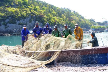 Balıkçılar hamsi catch kaldırma