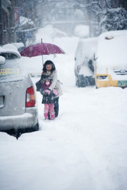 karlı yollarda trafik fırtına