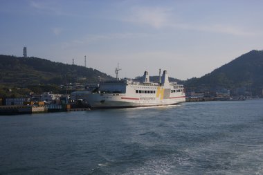 cruise gemisi cheongsando