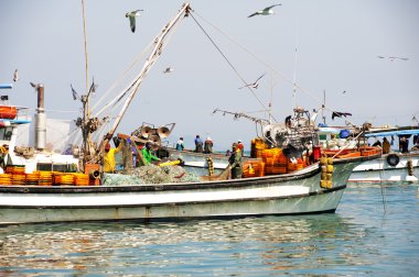 Balıkçılar hamsi catch kaldırma