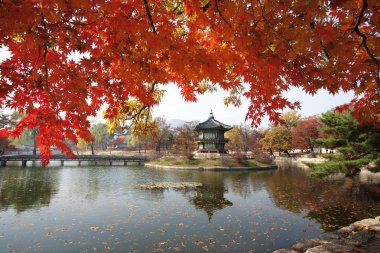 Gyeongbokgung Sarayı