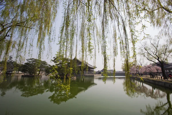 Gyeongbokgung Sarayı — Stok fotoğraf