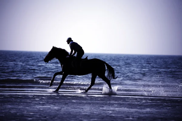 Koně jezdec na pláži při západu slunce — Stock fotografie
