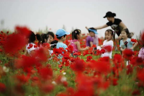 Children at the  Theme park garden Paju — Stock Photo, Image