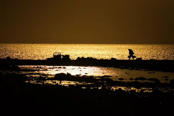 Korea Ocean tidal oyster Fishing — Stock Photo, Image