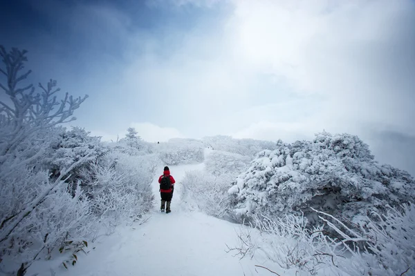 Persone al deogyusan national park in inverno — Stok fotoğraf