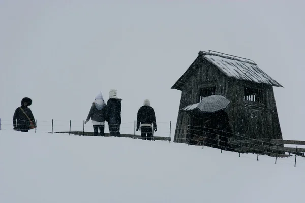 Turistas en el rancho de ovejas sobre el hermoso paisaje de invierno —  Fotos de Stock
