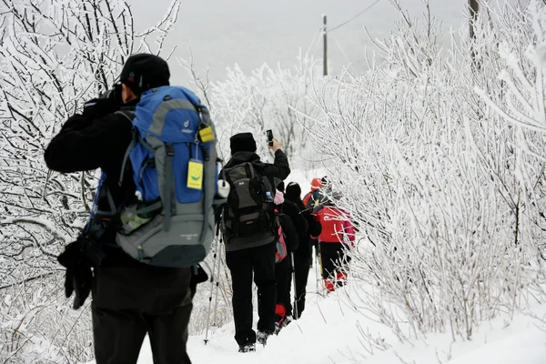 Toeristen gaan door het mooie winterlandschap in Zuid-korea — Stockfoto