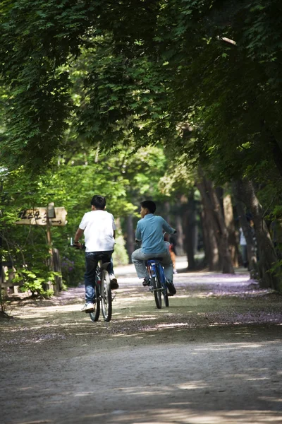 Människor på cyklar nami ön skogsväg — Stockfoto