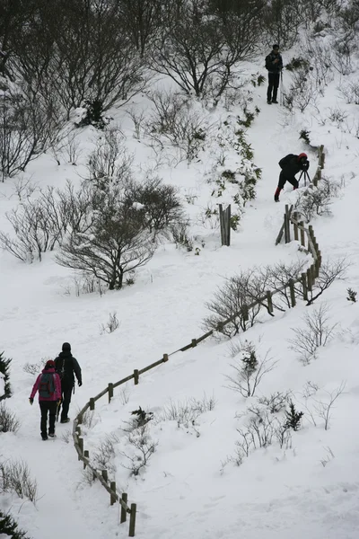 Güzel kış dağlar turist yürümek — Stok fotoğraf