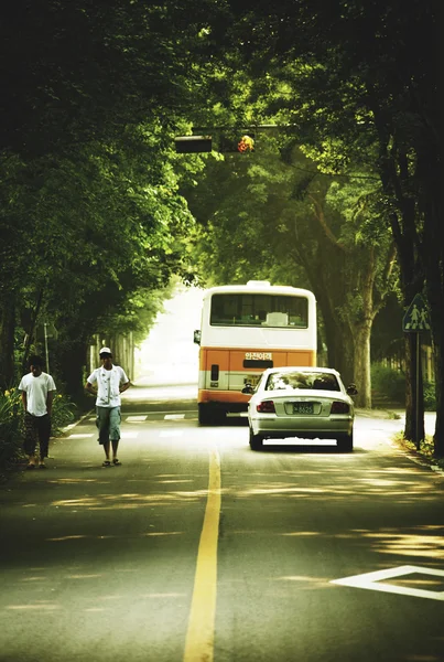 Güney Kore'de orman yolu — Stok fotoğraf