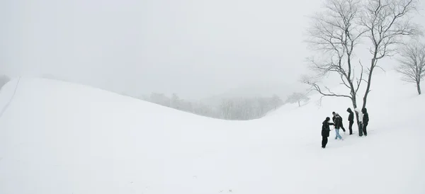 Insanlar daegwallyeong koyun Ranch — Stok fotoğraf