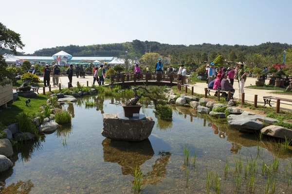 Kkotji Beach World Flower Expo — kuvapankkivalokuva