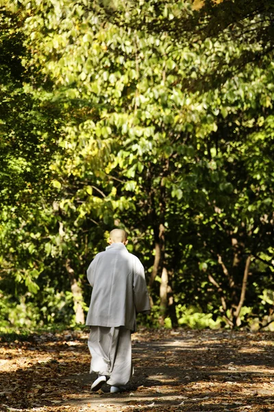 Mann går på høstlandskap med templene Baegyangsa – stockfoto