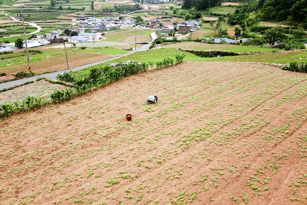 Farmář ve venkovské krajině — Stock fotografie