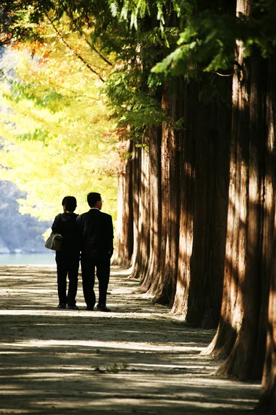 People walking in the park Nami  Island — Stock Photo, Image